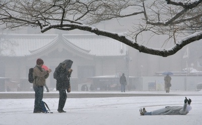 東京などに大雪警報、23区では13年ぶり 各地で交通の乱れ