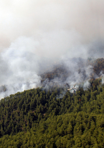 トルコで山火事、1万ヘクタール延焼