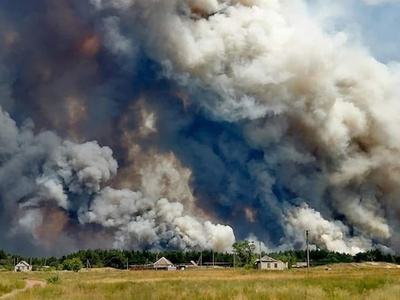 ウクライナ東部で森林火災、6人死亡