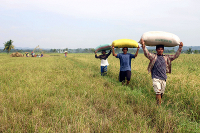 政府、反政府勢力MILFと停戦合意 - フィリピン