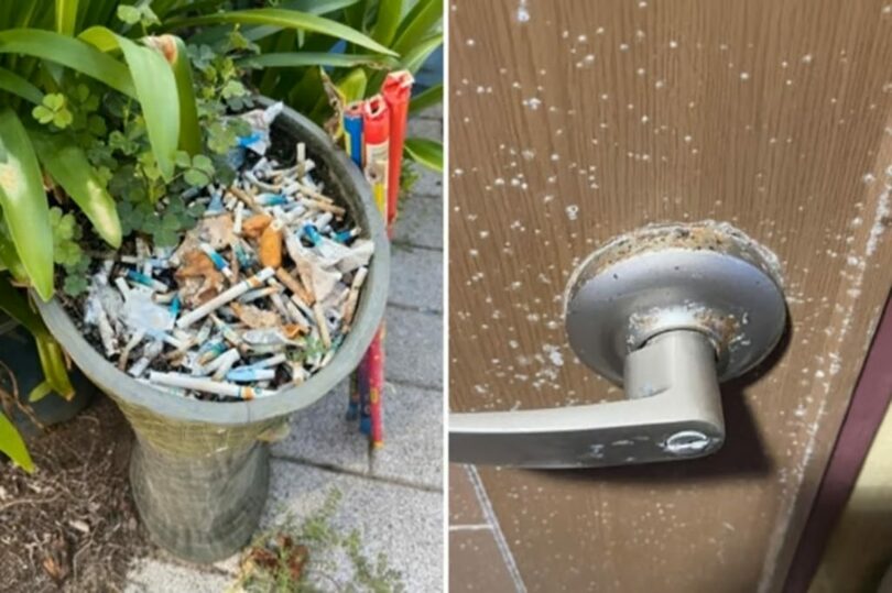 宿泊客が撮影した済州島のペンション内部＝オンラインコミュニティ「ボベドリーム」(c)MONEYTODAY