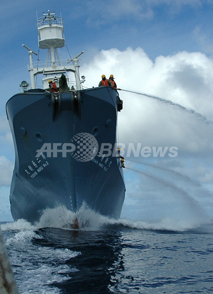 反捕鯨団体が妨害活動再開を宣言、活動家は「海に投げ落とされかけた」と主張