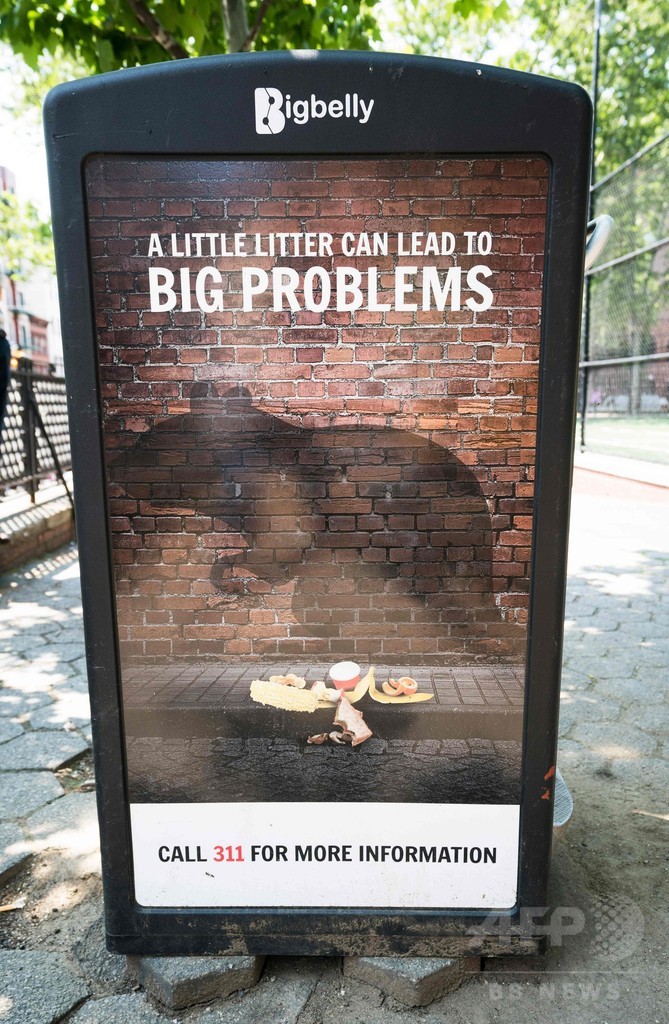 ネズミ駆除の新しい武器はドライアイス、米ニューヨーク