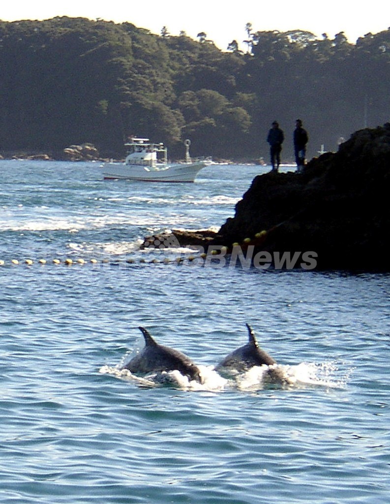 イルカ漁の太地町に「クジラ牧場」構想、和歌山県 イルカ漁の太地町に「クジラ牧場」構想、和歌山県