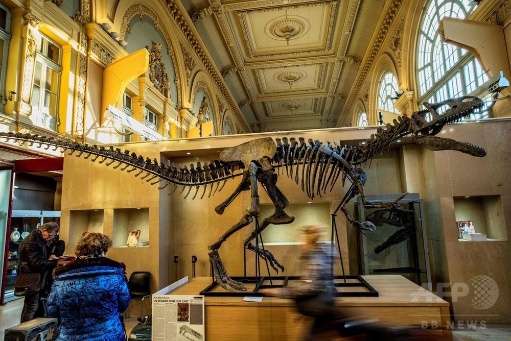 アロサウルス」の骨格標本、1億3000万円で落札 仏競売 写真9枚 国際
