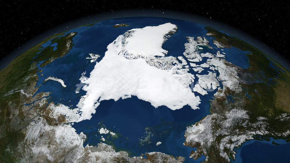 国際ニュース：AFPBB News「北極圏に国境を」、露大統領が手続きの必要性を指摘