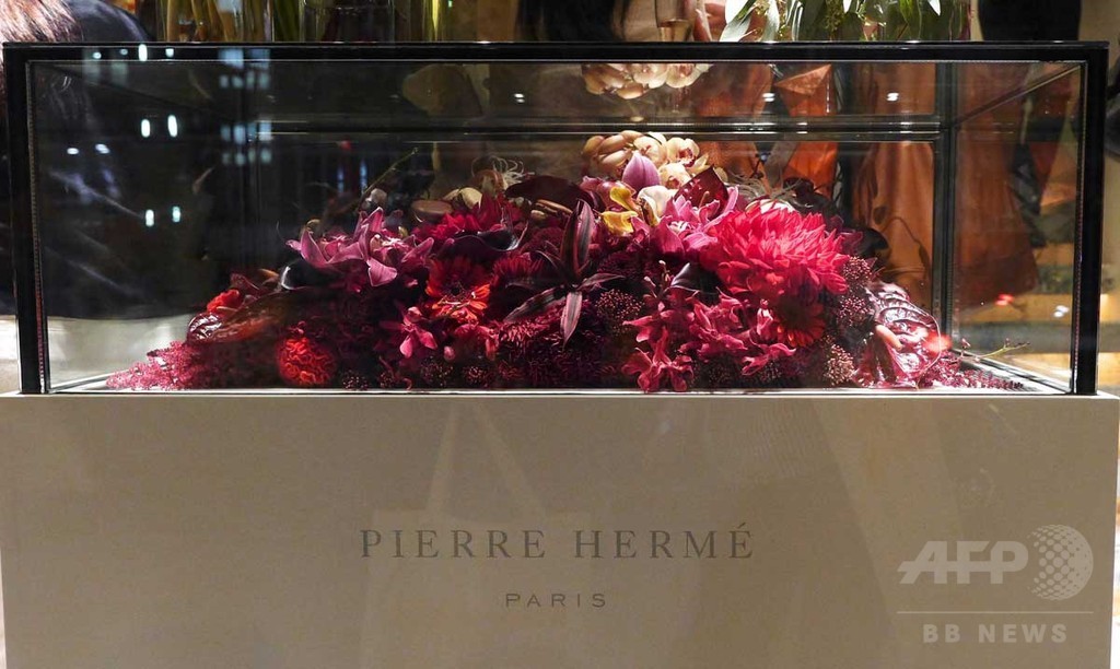 ピエール・エルメ、「庭園」テーマに東信氏とコラボレーション