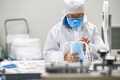 中国・青島の工場でマスクを生産する従業員（2020年2月6日撮影）。(c)STR / AFP