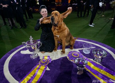 img_fe28ed9a8af7aca9a398a50d50