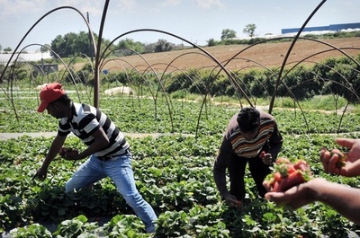 移民労働者への発砲で27人負傷、農場主ら2人逮捕 ギリシャ