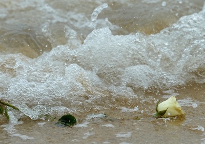 インド洋大津波から10年、各地で追悼式典