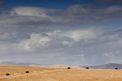 トルコ軍参謀総長、イラク越境攻撃の選択肢捨てず