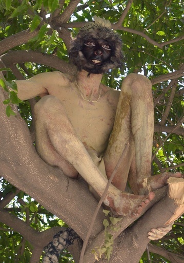 リアル過ぎ！？ サルに扮して木登り、インド