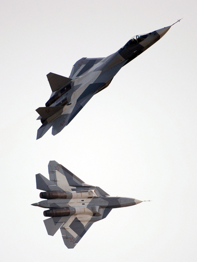 ロシア初のステルス戦闘機「T-50」、航空ショーでベール脱ぐ