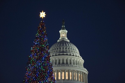 米連邦議会議事堂でクリスマスツリーの点灯式