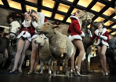 ロケッツ、「共演者」たちとクリスマス公演のリハーサル開始