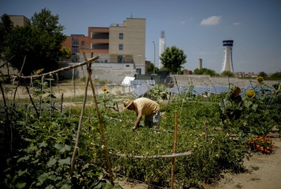 バブル後の空き地を都市菜園に、スペイン