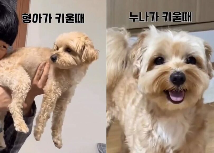 インスタグラム mo_cka_提供(c)news1