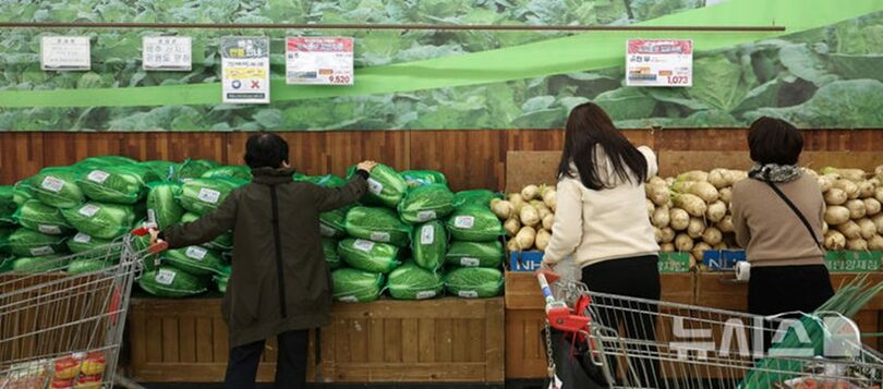ソウル市内の販売店に並ぶ白菜や大根など、キムジャン用の食材＝2025年11月2日(c)NEWSIS