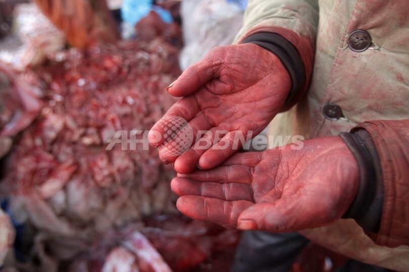 中国・洛陽に「血の川」出現！