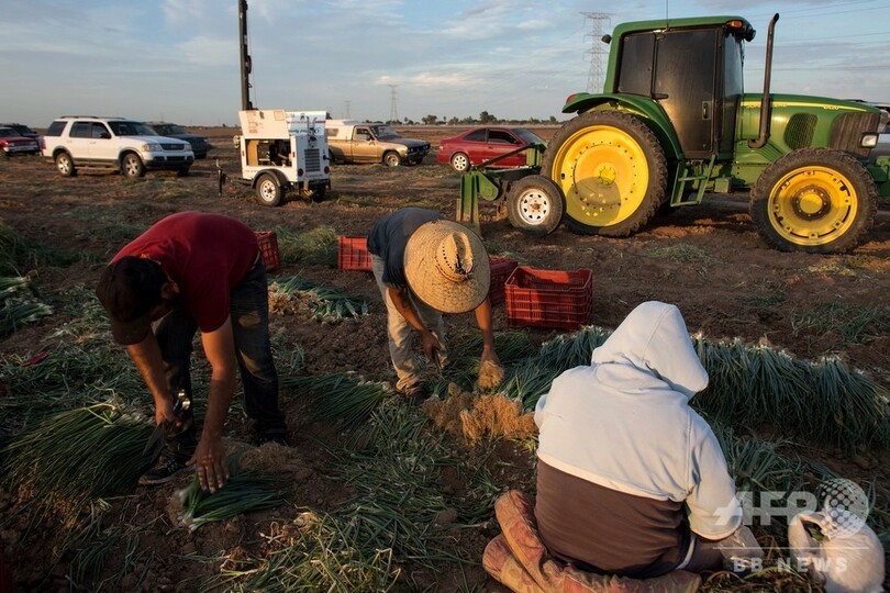  新型コロナに続き「世界的食料危機」の恐れ、国連とWTOが警告