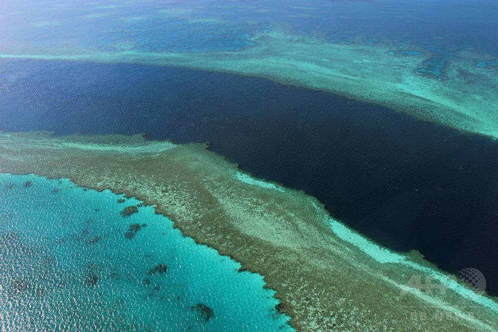 豪 グレートバリアリーフの回復 保護に413億円 過去最大規模 写真1枚 国際ニュース Afpbb News