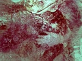 スペイン・カセレスのマルトラビエソ洞窟に残された先史時代の手形壁画（2017年2月24日撮影）。(c)AFP/HANDPAS PROJECT