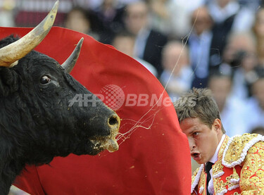 マタドールが舞う、スペイン・セビリアで闘牛大会 写真21枚 国際