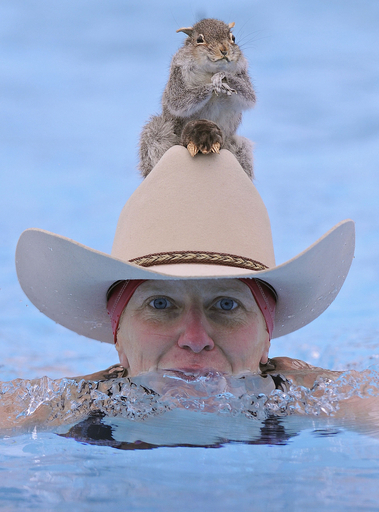 いったい何の勝負？ロンドンで寒中水泳大会