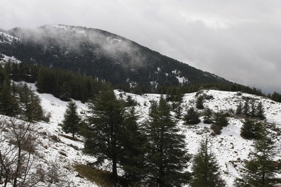 8世紀の強烈な宇宙線、ブラックホールの衝突が原因か 研究