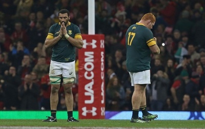 ウェールズ快勝、南アフリカにとっては苦難の1年に