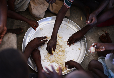 イネとトマトの遺伝情報公開、干ばつに強い品種開発の手がかりに