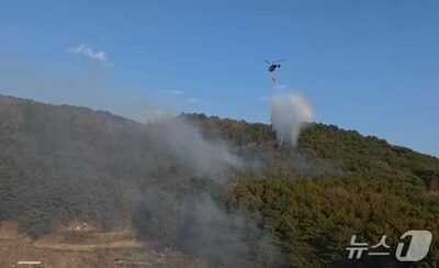 韓国で中学生2人が花火遊び中に山火事…「触法少年」で立件対象外