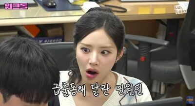 「ゴキブリ捕獲」の出動要請…韓国・役所に寄せられる苦情の実態　