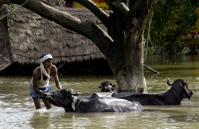 南アジアを襲った大洪水による被害は依然拡大