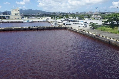 Beer factory leak turns Japanese port red