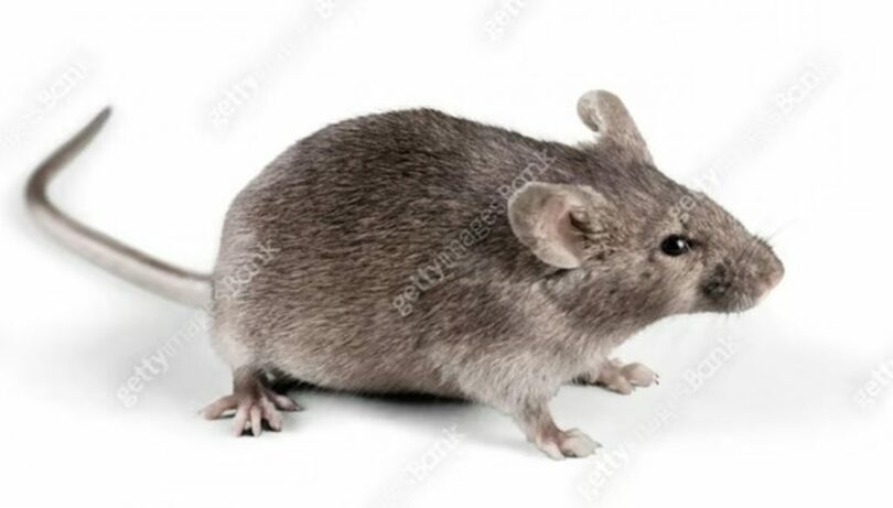 gettyimagesBank(c)MONEYTODAY