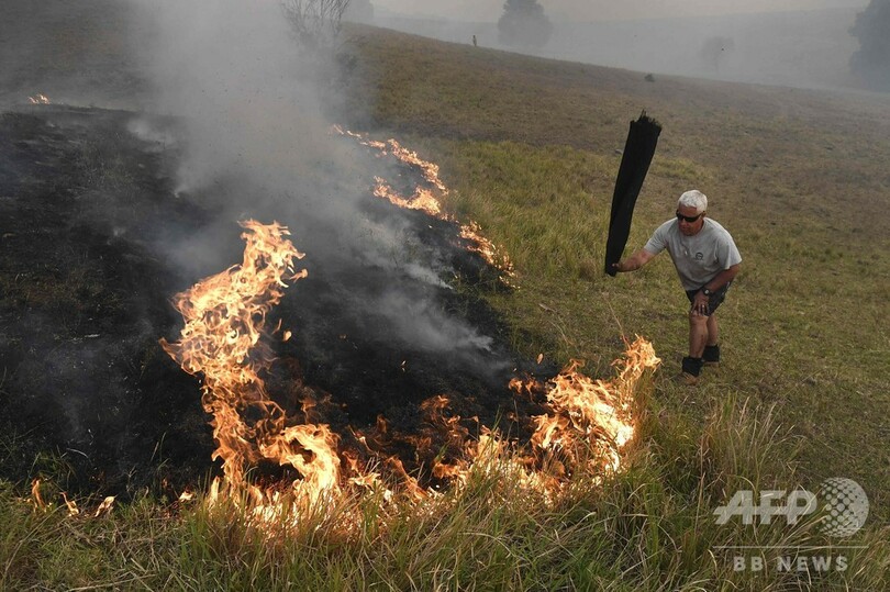 大麻草守ろうと「迎え火」か、新たな森林火災起こした男を逮捕 豪