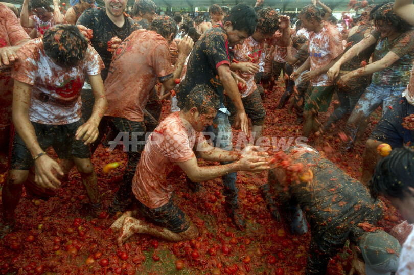 恒例のトマト投げ祭り、全てが真っ赤に コロンビア