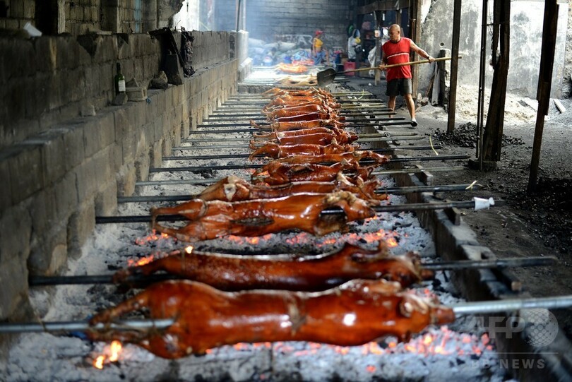 豚の丸焼き「レチョン」作りたけなわ、フィリピン