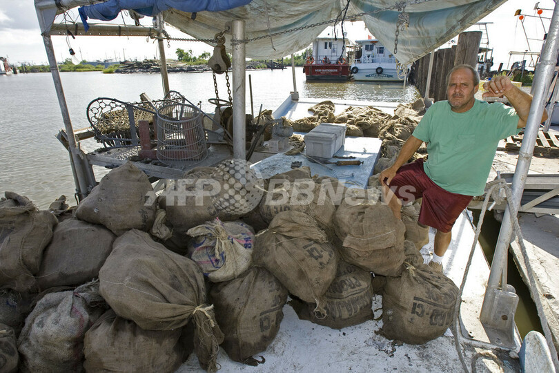 ハリケーン「カトリーナ」「リタ」から２年、ルイジアナのカキ漁は順調