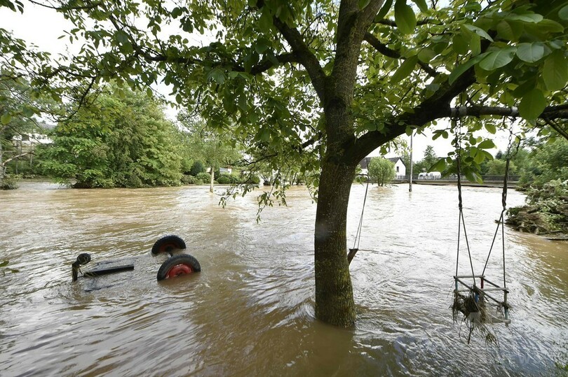 猛獣5頭「脱走」は間違い 飼育場で発見 独動物園