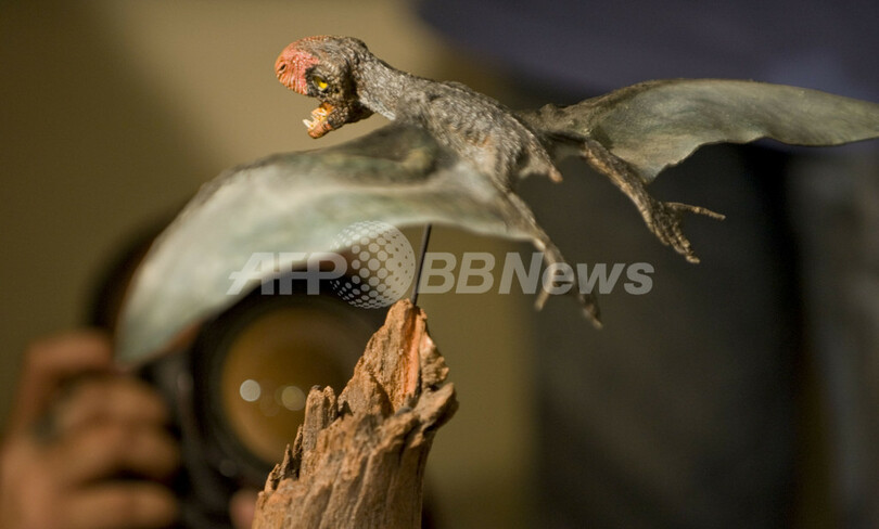 プテロサウルスの翼の構造に関する研究を発表、ブラジル