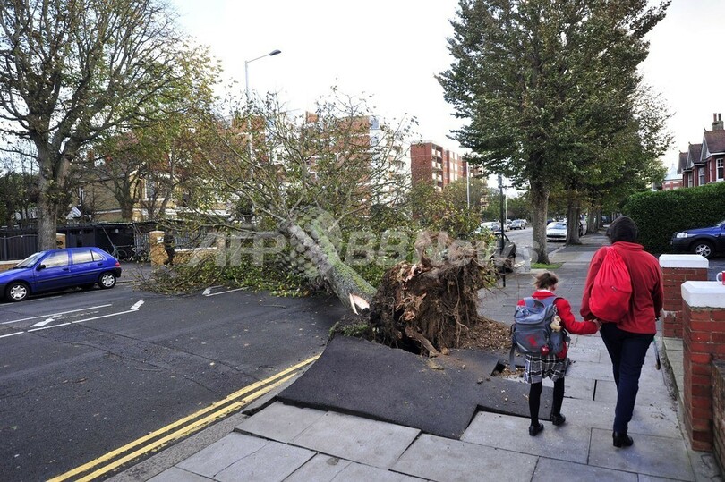 欧州北部の暴風雨、5か国で11人死亡 停電や交通まひも