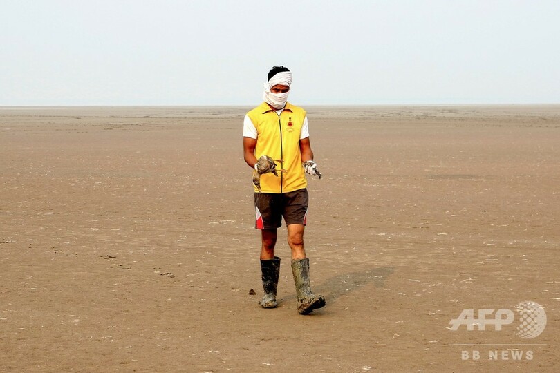 湖に渡り鳥8000羽の死骸、ボツリヌス中毒の可能性 インド