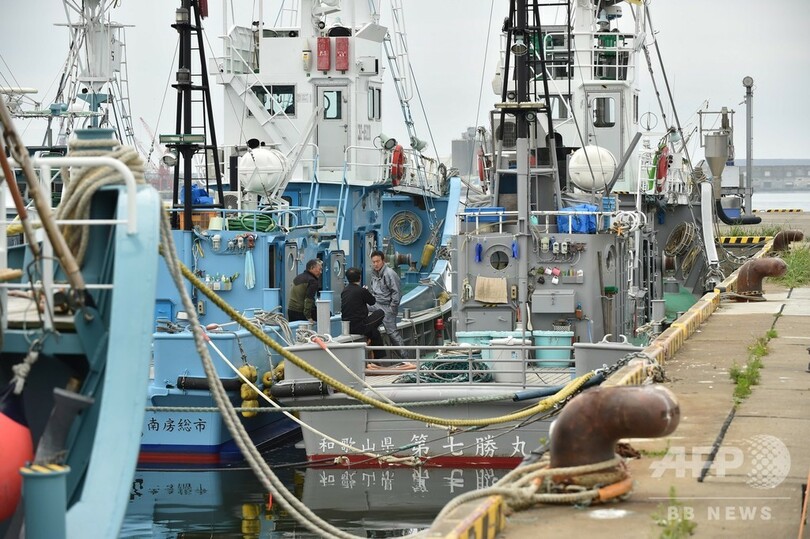 31年ぶり商業捕鯨再開、釧路と下関から捕鯨船団出港