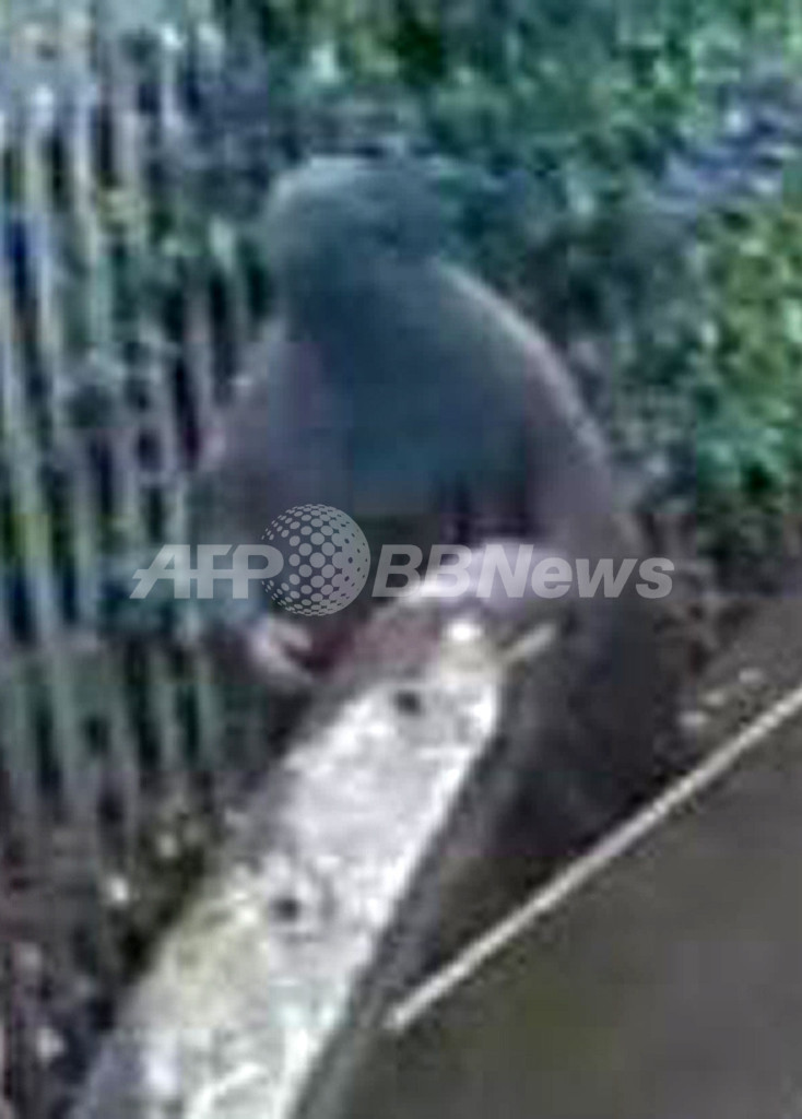 容疑者がブルカで女装し逃走、英テロ対策に疑問の声