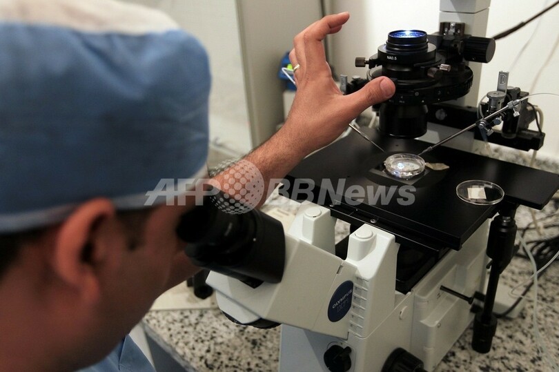 エジプトで議論呼ぶ「男女産み分け」、根強い男児志向