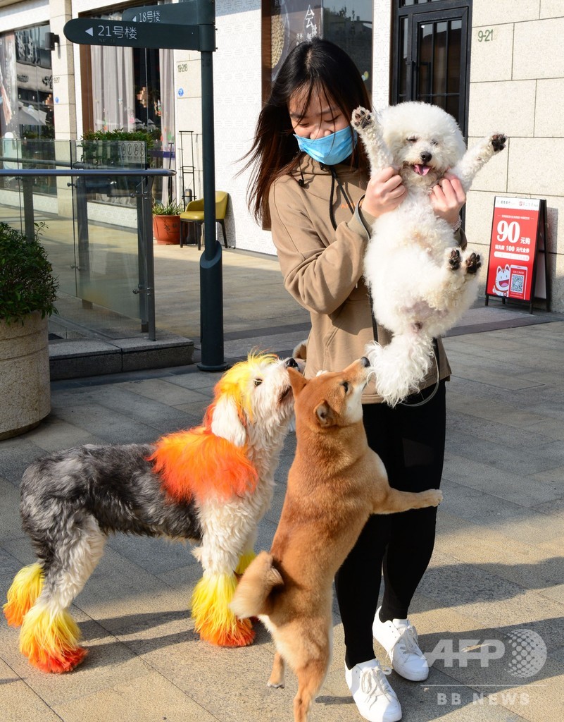 残されたペットを救え！ ボランティアが奮闘 中国・武漢市