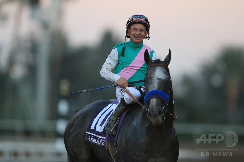 アロゲートがBCクラシック制覇、カリフォルニアクロームに勝利